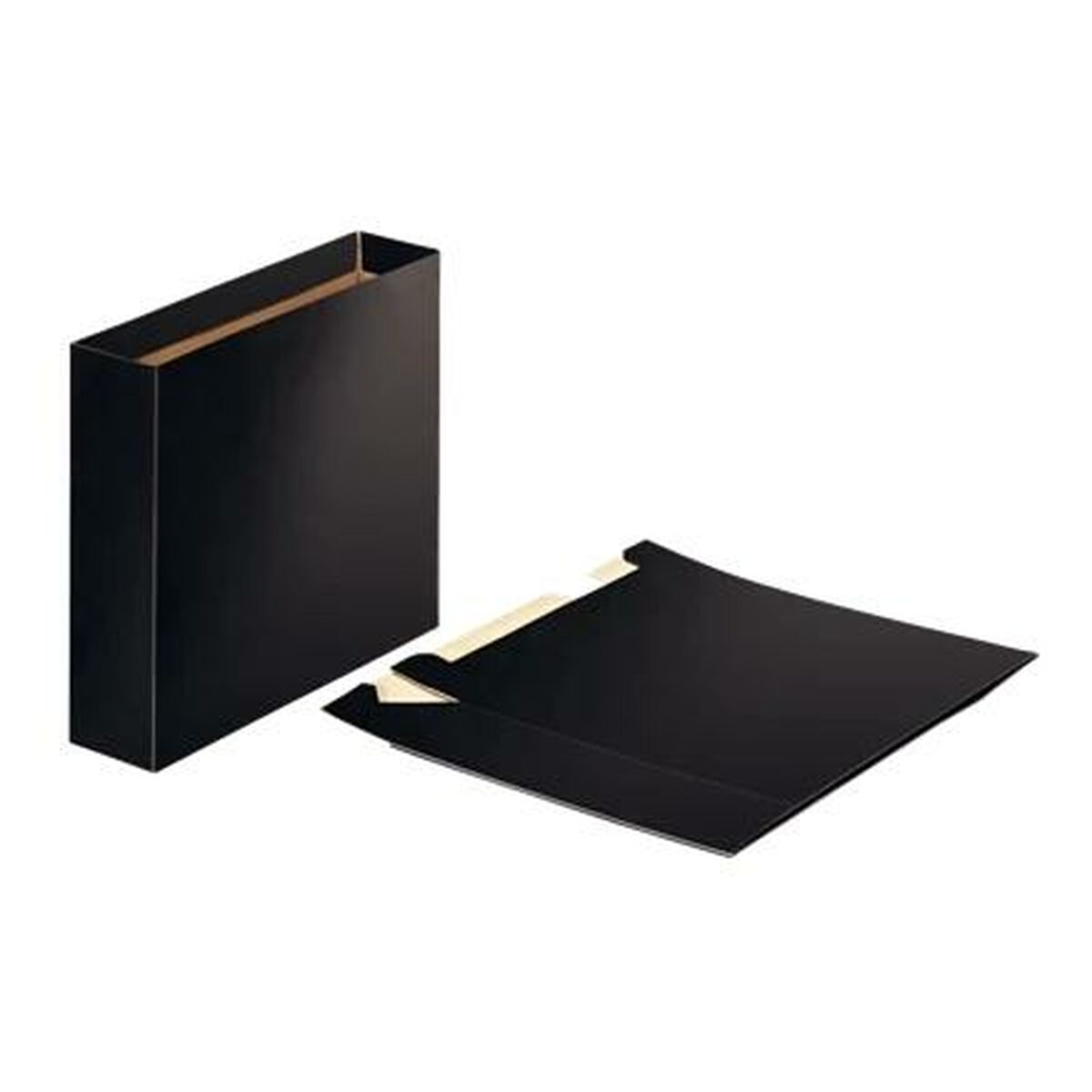 Filing Cabinet Esselte Black Sheet (20 Units)