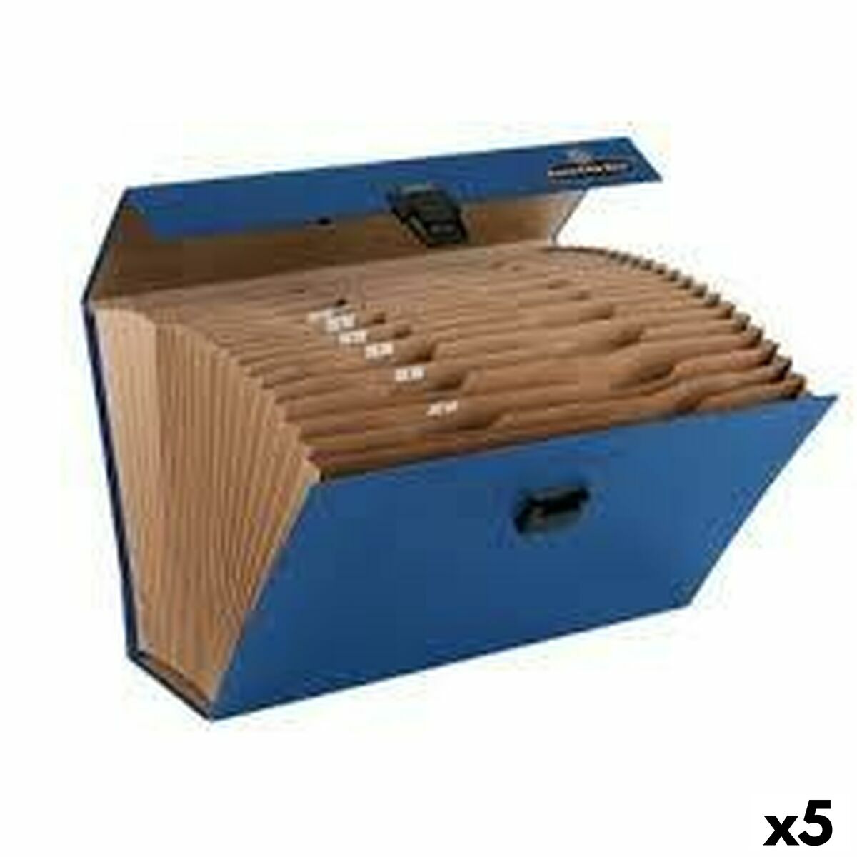 Organiser Folder Fellowes    Blue 25 x 36,2 x 12,4 cm Accordeon (5 Units)