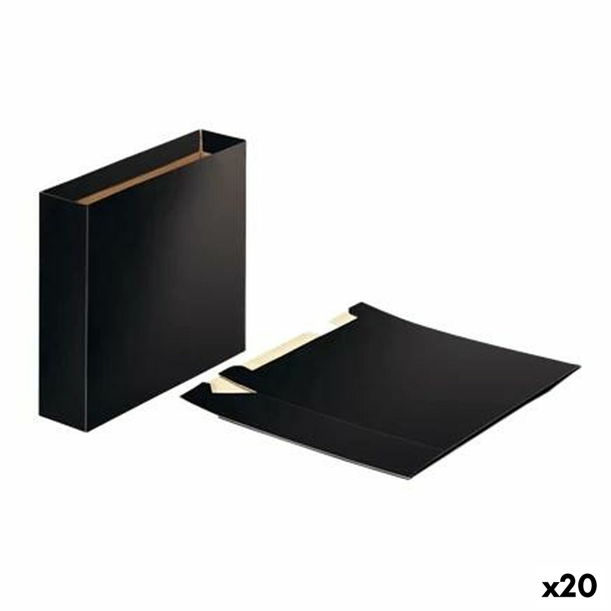 Filing Cabinet Esselte Black Sheet (20 Units)