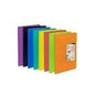 Organiser Folder Carchivo Carchiplás-Book Red Sheet