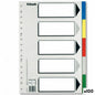 Seperators Esselte Multicolour Sheet 5 Sheets (100 Units)
